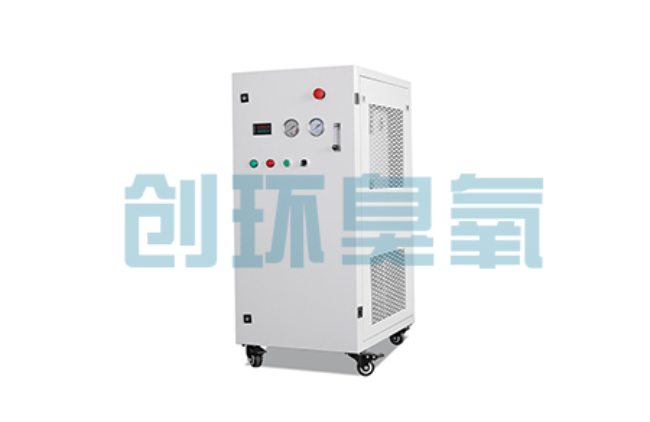 通州比传统换水更高效？臭氧发生器在石斑鱼养殖中的水质净化原理解析