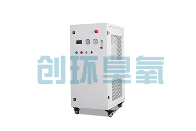 通州比传统换水更高效？臭氧发生器在石斑鱼养殖中的水质净化原理解析